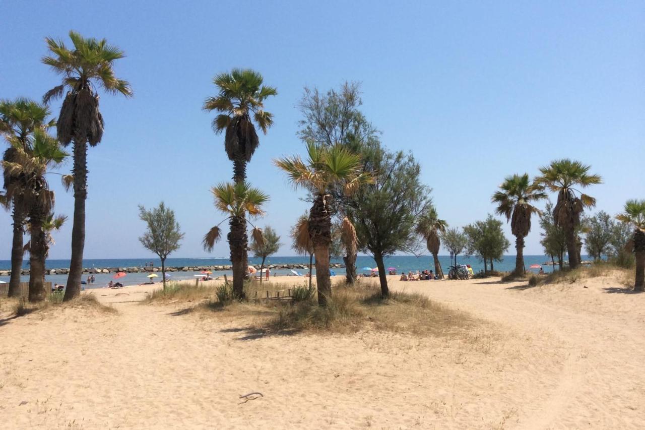 Superb Apartment With Balcony Near The Beach Saint-Raphael  Ngoại thất bức ảnh